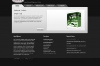 Corporate Site 1