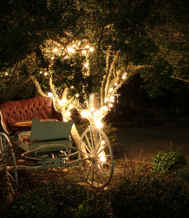 Horse Carriage
