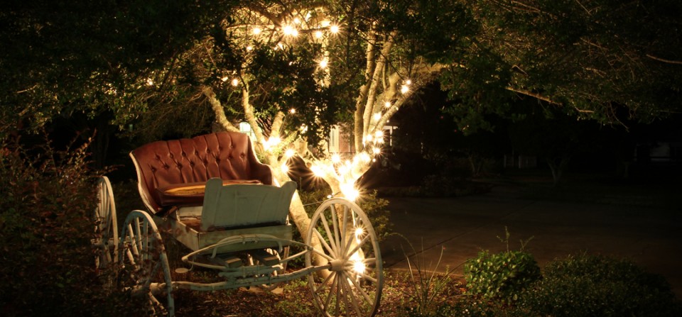 Horse Carriage