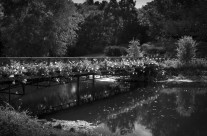Garden Bridge
