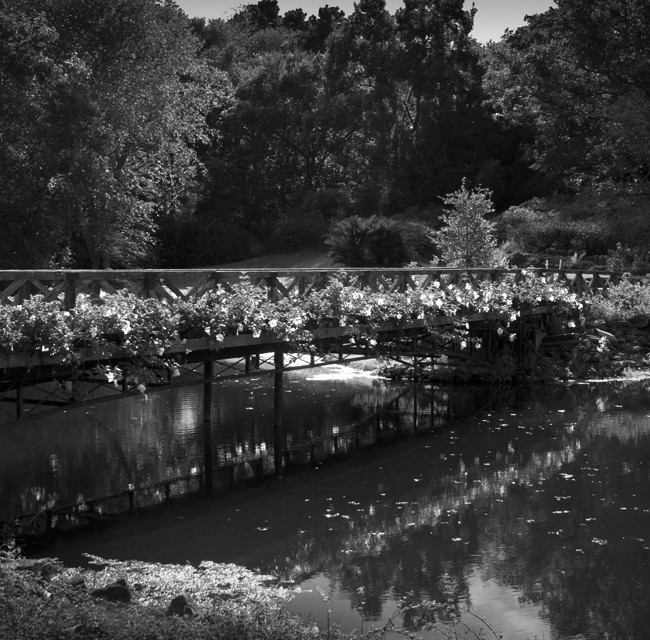 Garden Bridge