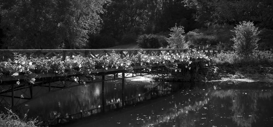 Garden Bridge