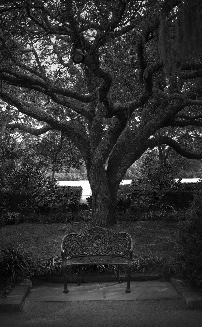 Bench