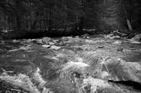 NH Stream