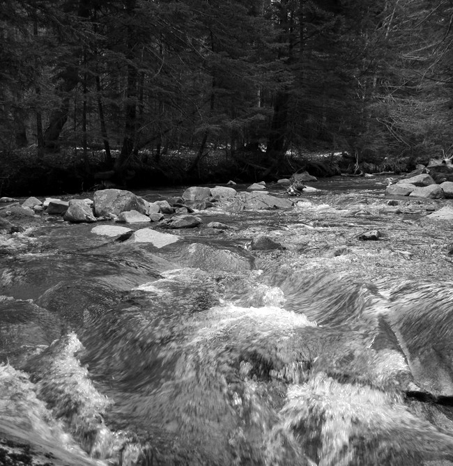 NH Stream