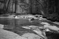 NH Stream 2