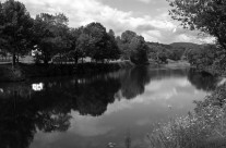 Along the River