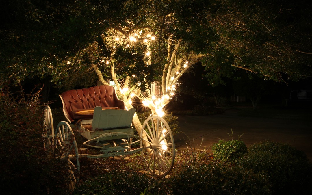 Fairytale Carriage