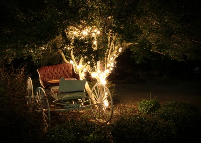 Fairytale Carriage